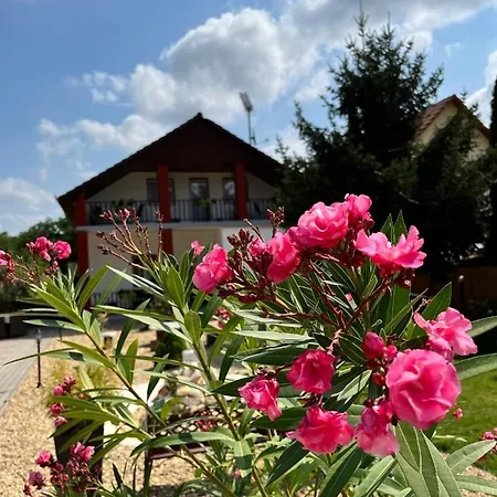 Baber Vendeghaz Daire Nyíregyháza